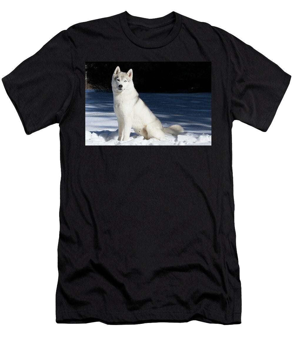 Siberian Husky Sitting in Snow Connecticut Lynn M Stone Natureplcom T-Shirt