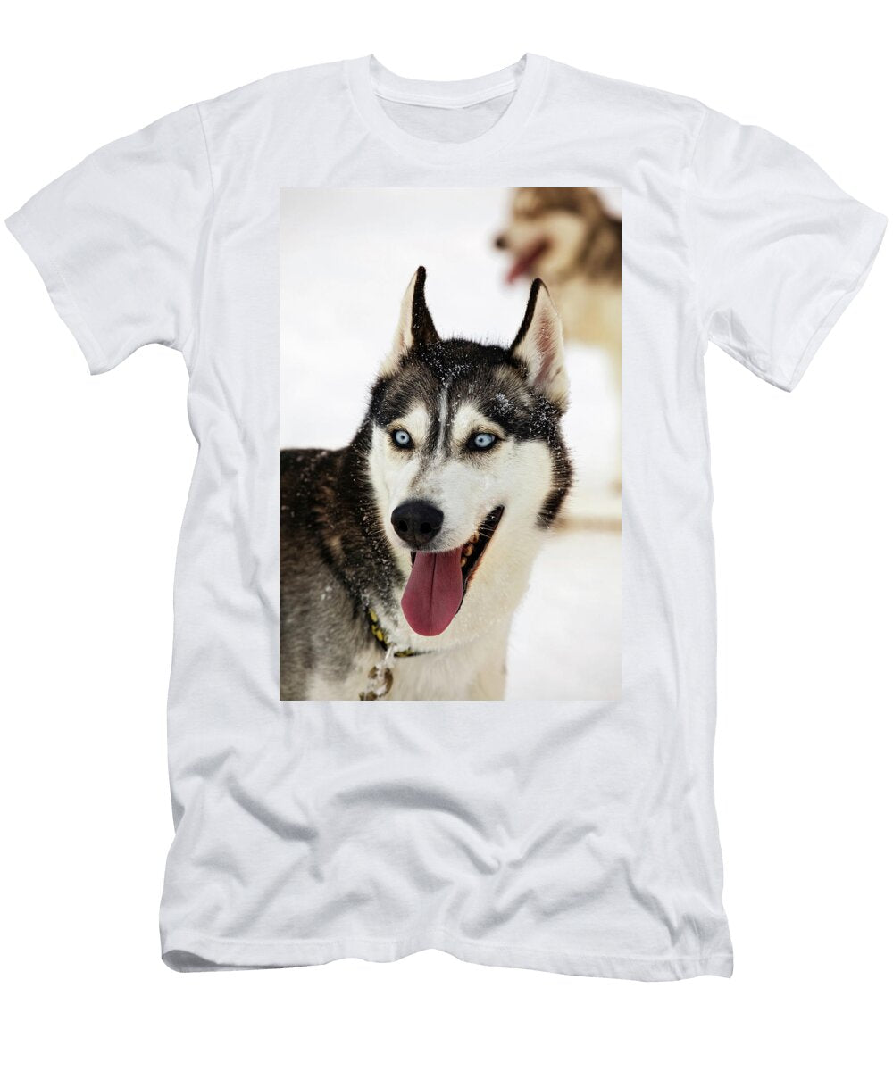 Sled Dog Abruzzo Italy Maurizio Rellini T-Shirt