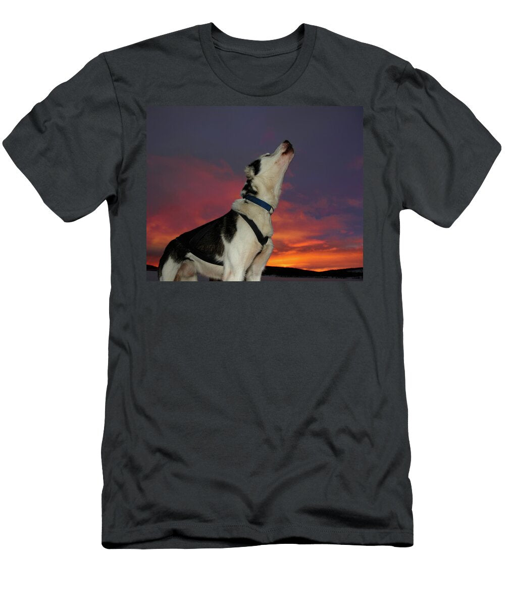 Sled Dog Howling At Sunset Animal Images T-Shirt