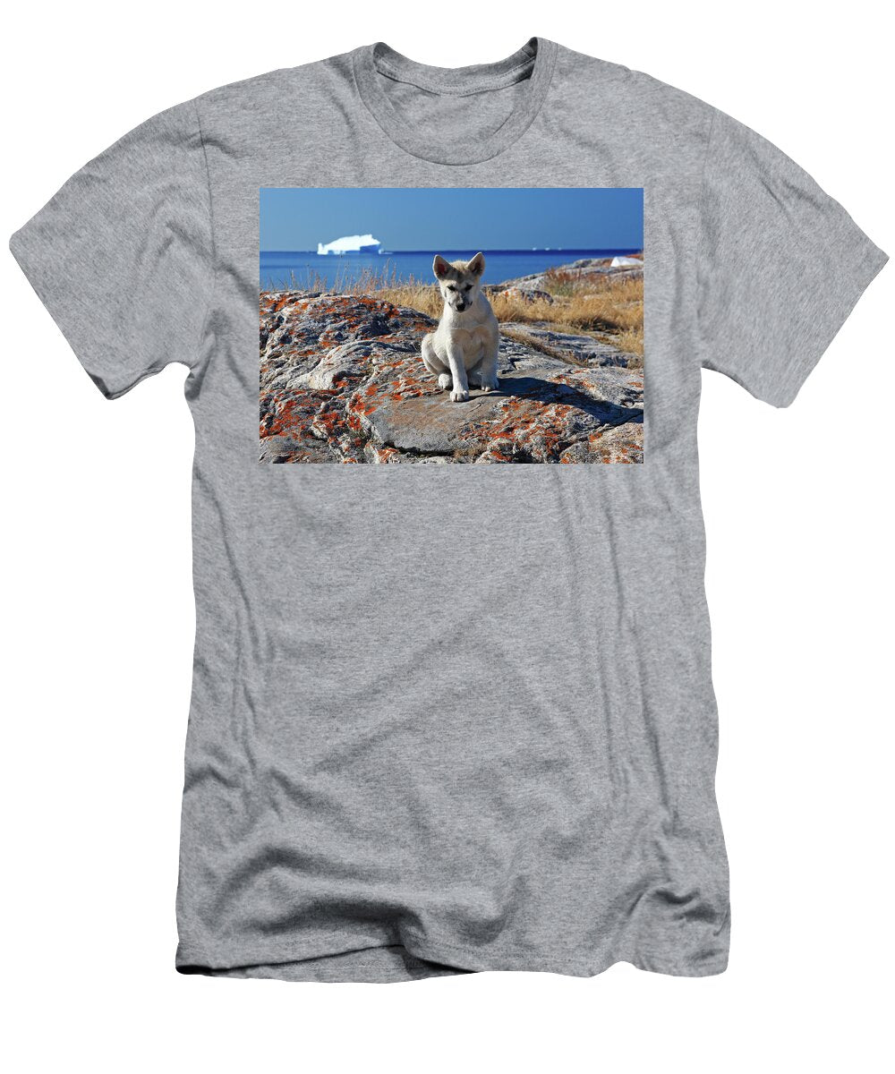 Sled Dog Pup Greenland Gunter Grafenhain T-Shirt