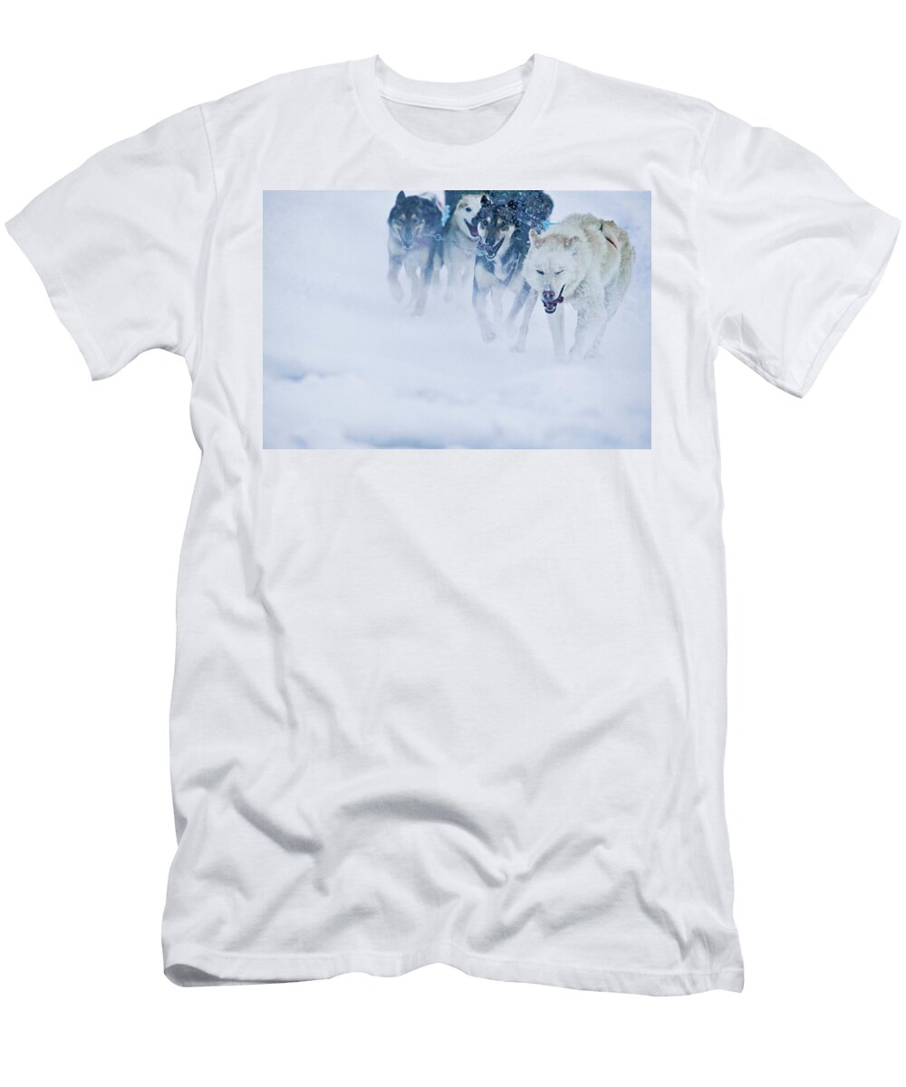 Sled Dogs Alessandro Saffo T-Shirt