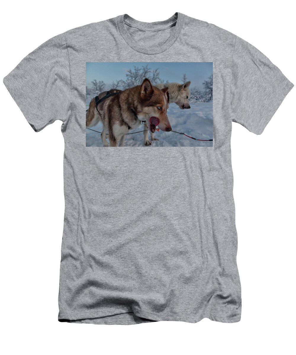 Sled Dogs Take a Break Near Kiruna Johnathan Ampersand Esper T-Shirt