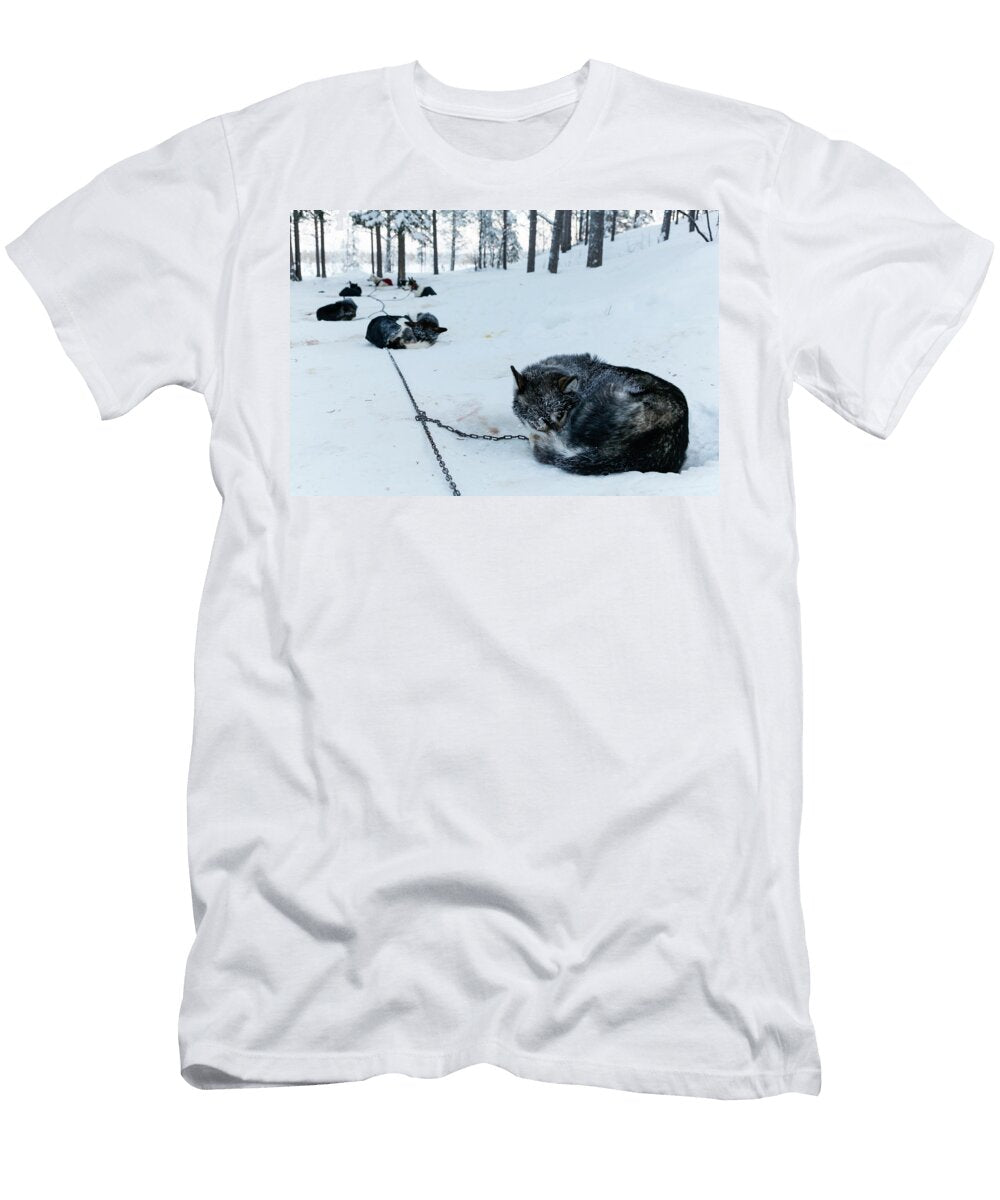 Sled Dogs Take a Nap Near Kiruna Sweden Johnathan Ampersand Esper T-Shirt