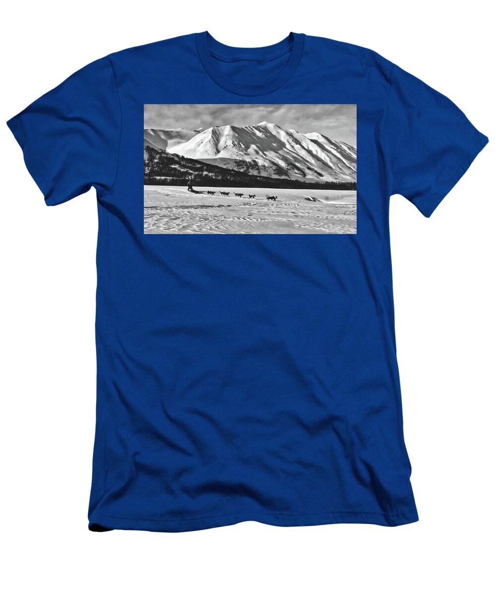 Sleding in Russia Pixabay T-Shirt