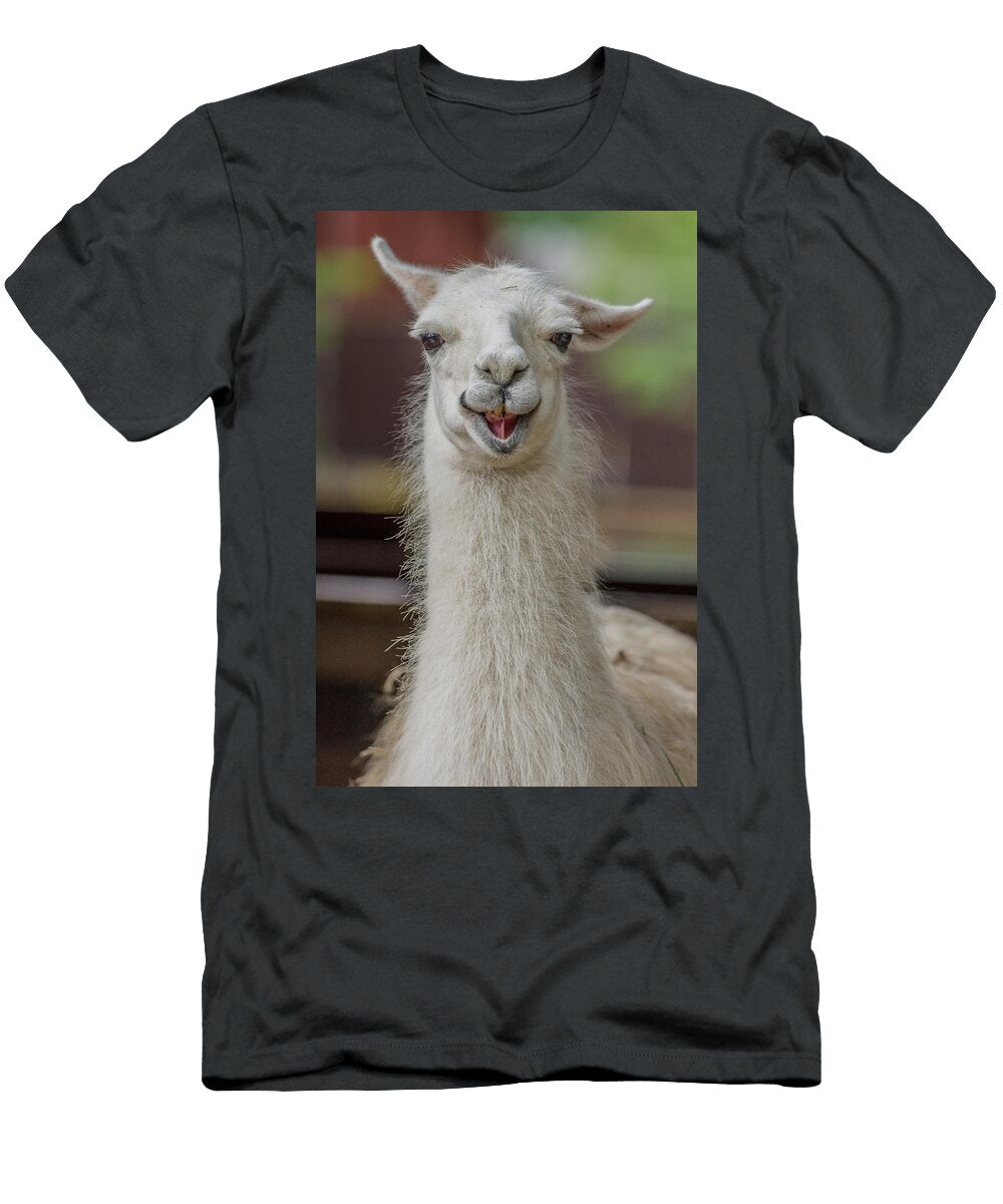 Smiling Alpaca Greg Nyquist T-Shirt