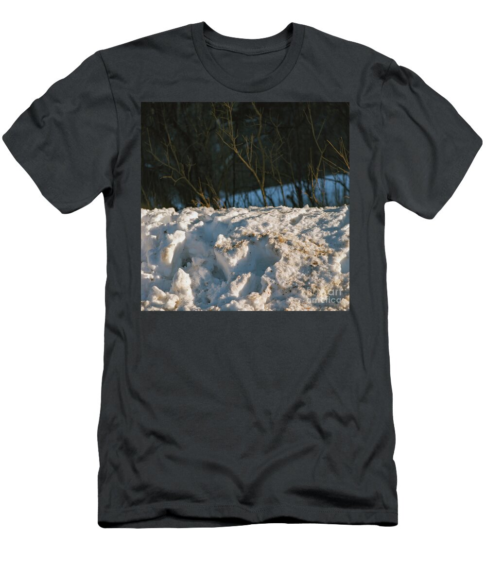 Snowbank Iv Michael Darling T-Shirt