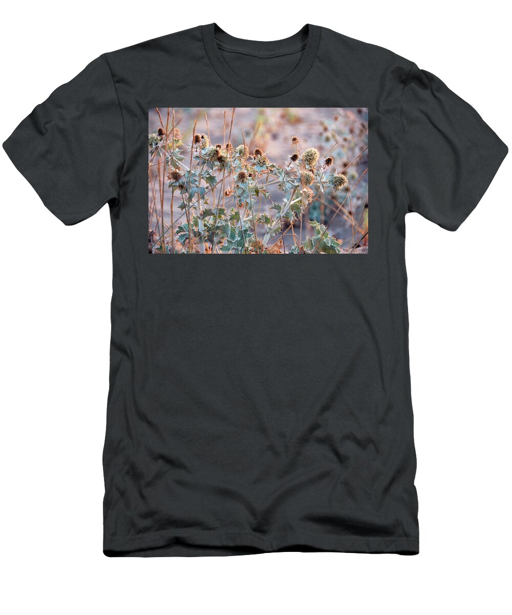 Spikes on the Sun Dimitris Paterakis T-Shirt