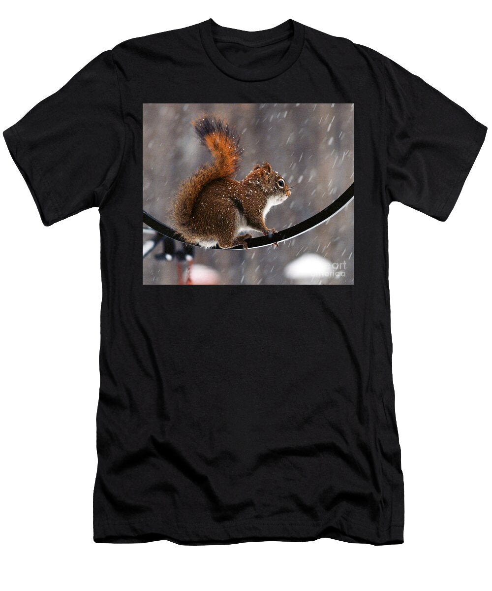Squirrel Ii Michael Darling T-Shirt