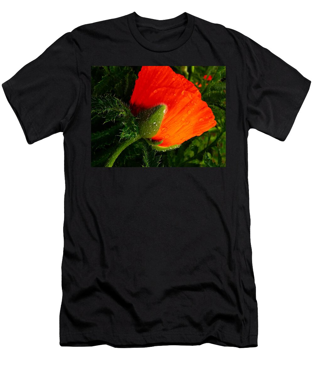 Still Bright and Beautiful Chris Berry T-Shirt