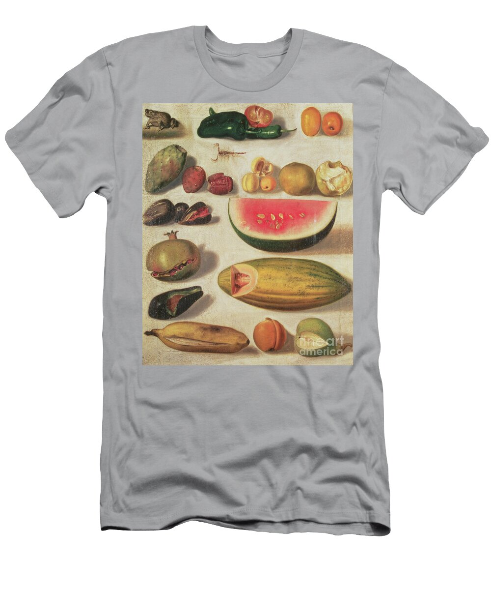 Still Life with Fruit and Toad Hermenegildo Bustos T-Shirt