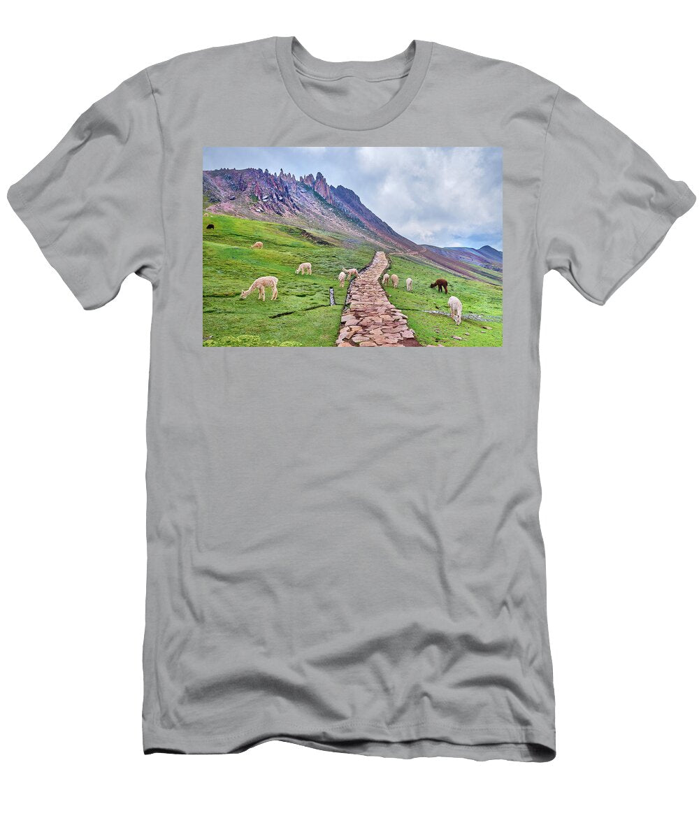 Stone Forest Red Valley Alpacas Palcoyo Peru 5000 Meters Guido Montanes Castillo T-Shirt