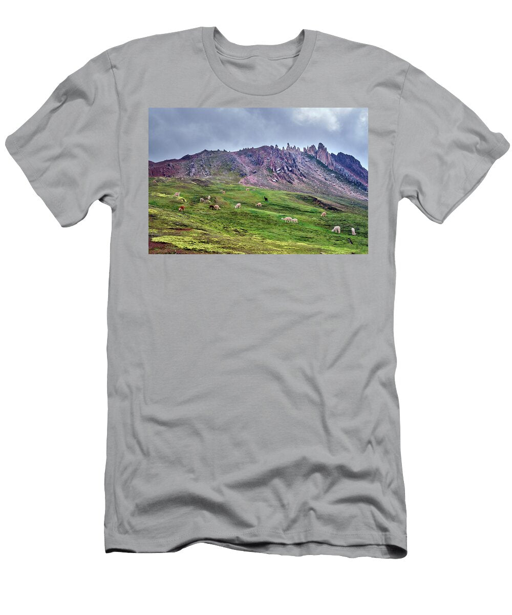 Stone Forest Red Valley Mountain Alpacas Palcoyo Peru 5000 Meters Guido Montanes Castillo T-Shirt