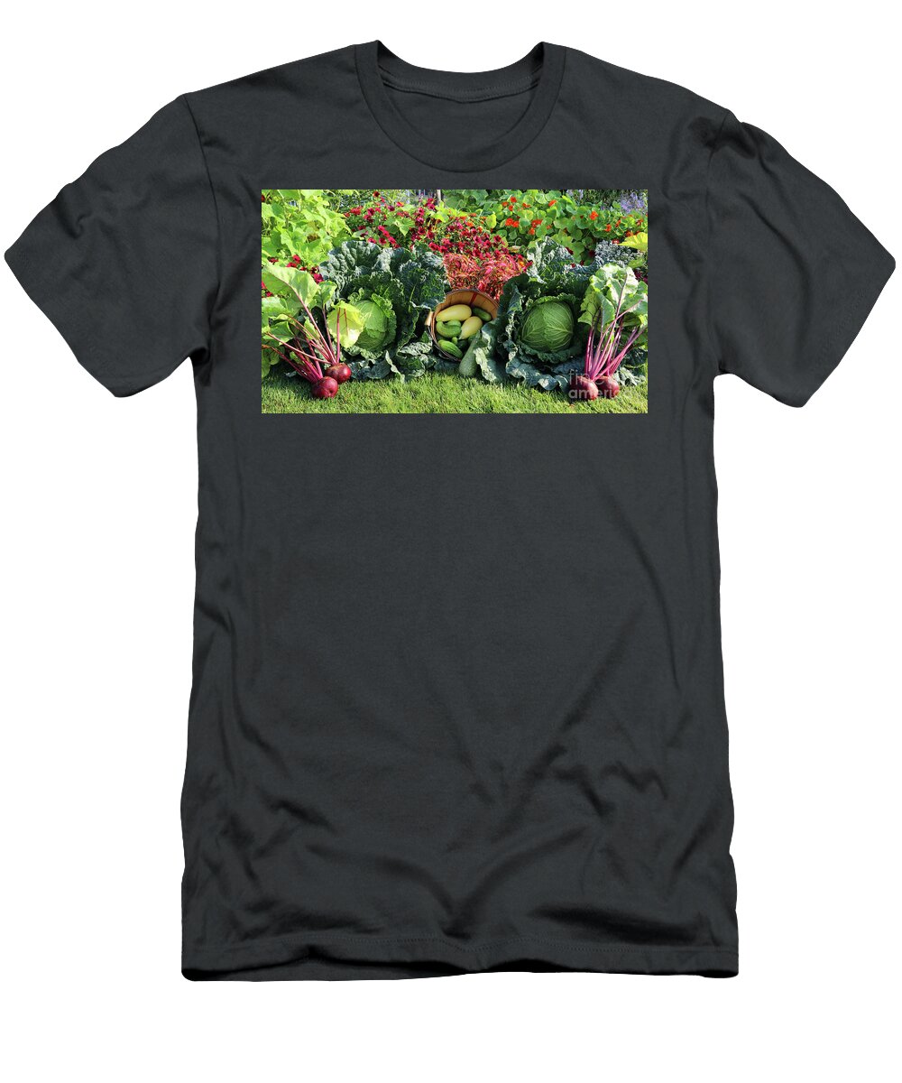 Summer Harvest 3829 Jack Schultz T-Shirt