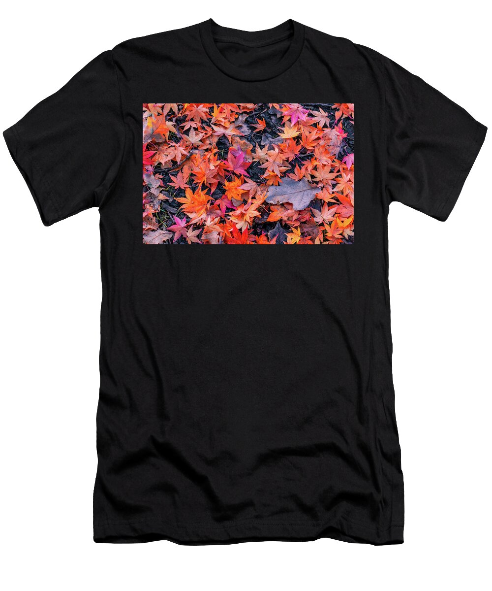 Summer Leafs Angela Carrion Photography T-Shirt