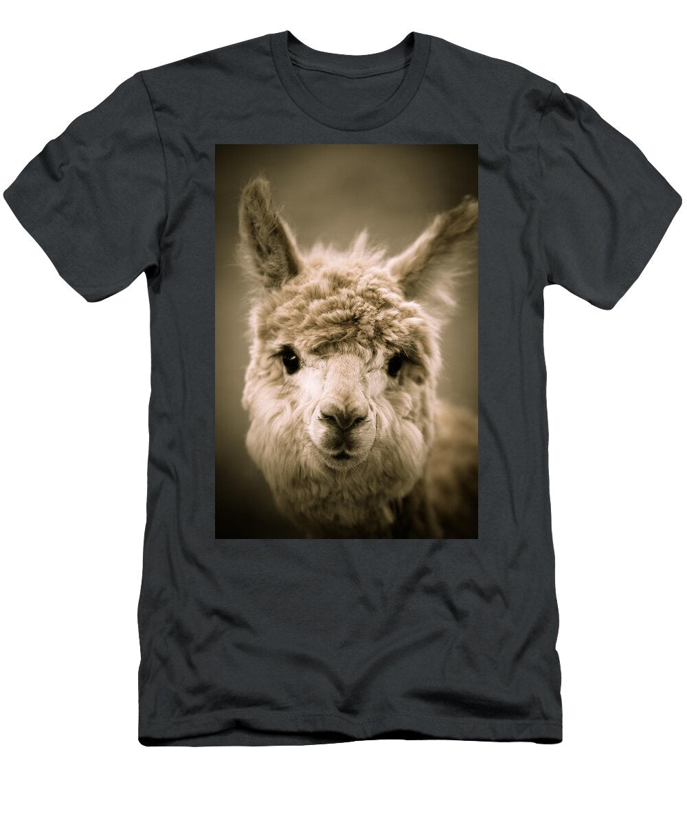 Sweet Alpaca Shane Holsclaw T-Shirt
