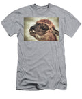 The Alpaca Karol Livote T-Shirt