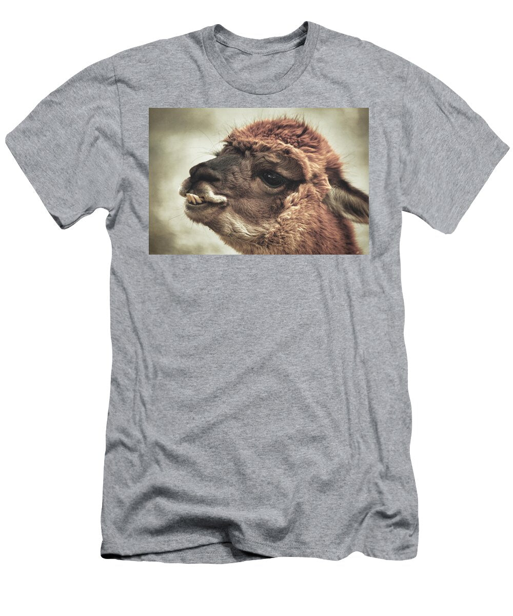 The Alpaca Karol Livote T-Shirt