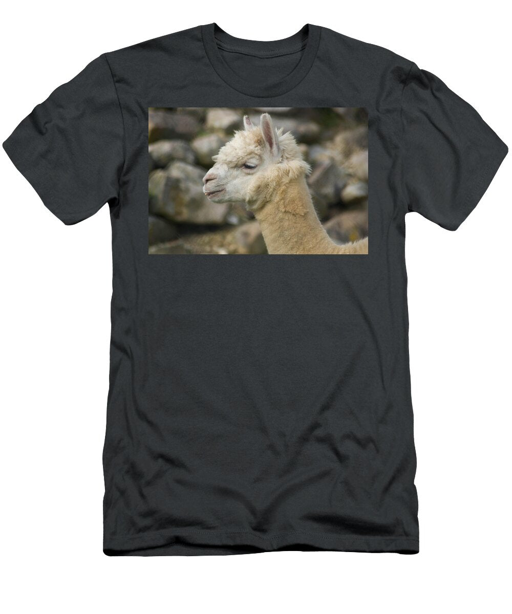 The Alps Trish Tritz T-Shirt