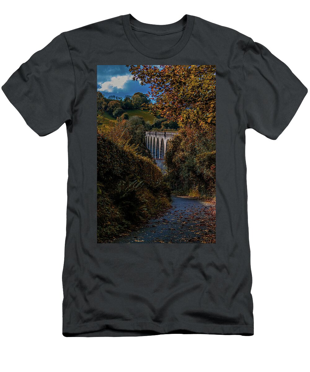 The Bridge and the Forest Angela Carrion Photography T-Shirt