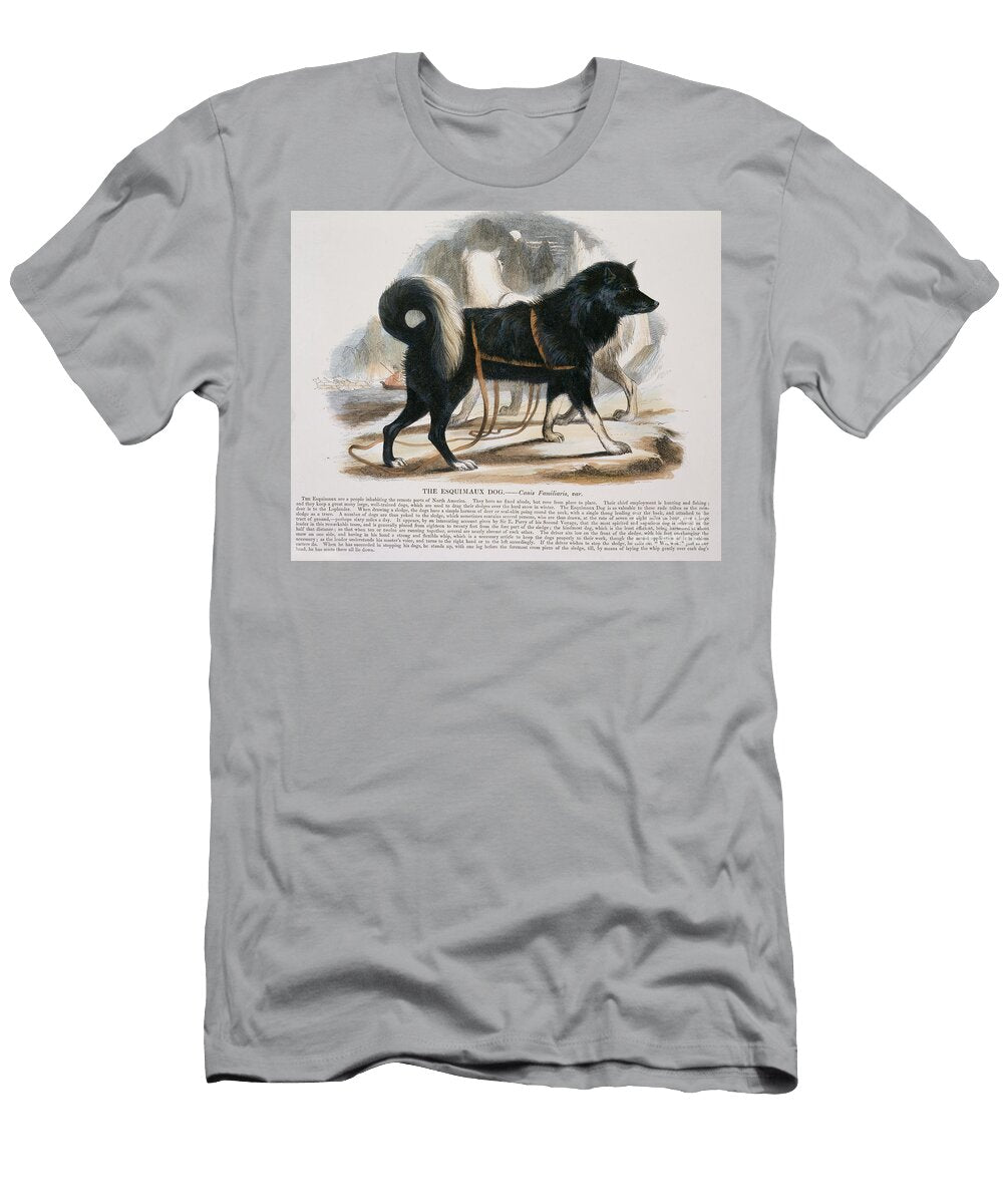 The Esquimaux Dog Canis Familiaris Educational Illustration Pub By the Society for Promoting Christian Knowledge 1843 Josiah Wood Whymper T-Shirt