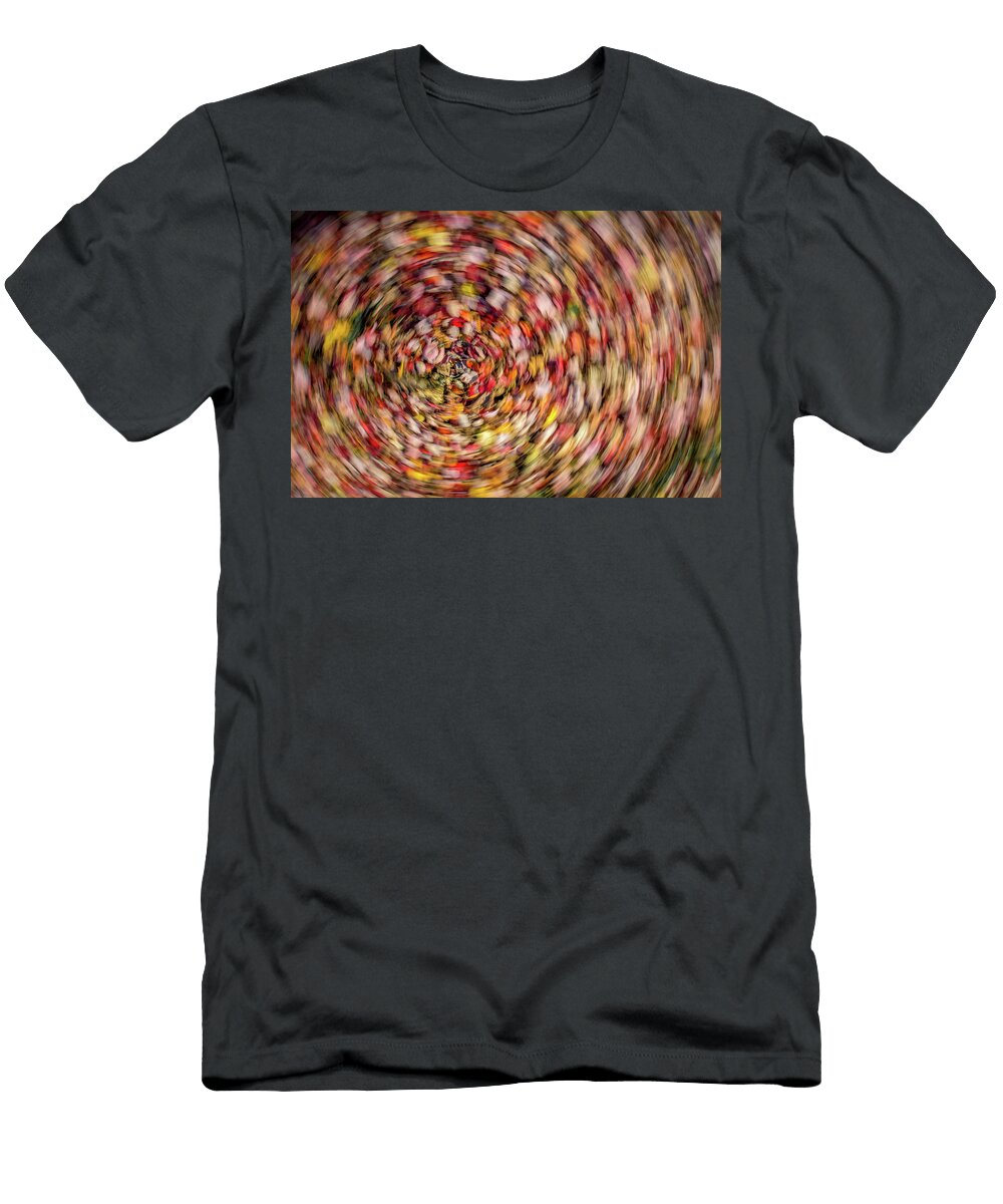 The Great Swirl Anis Khan T-Shirt
