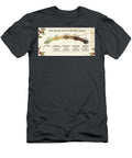 The Roast and Flavor Spectrum Stephen Younts T-Shirt