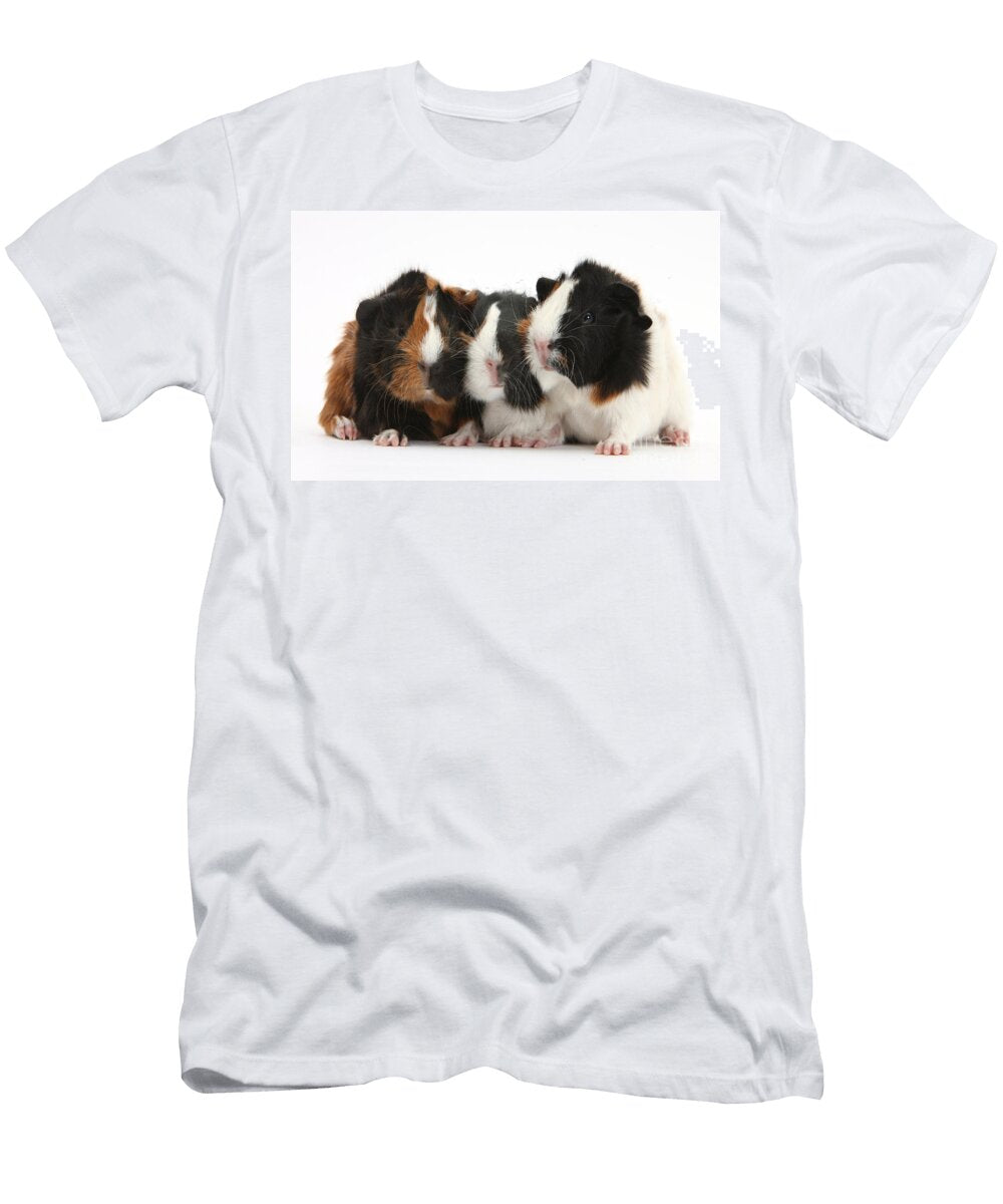 Three Tricolour Young Guinea Pigs Mark Taylor T-Shirt
