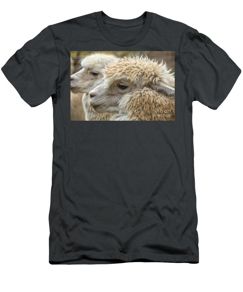 Two Alpaca Heads Patricia Hofmeester T-Shirt