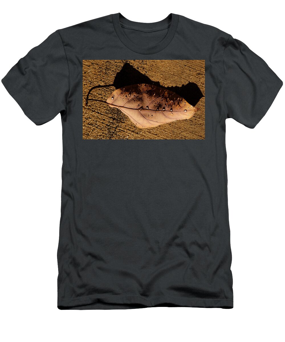 Upsidedown Brown Joe Schofield T-Shirt