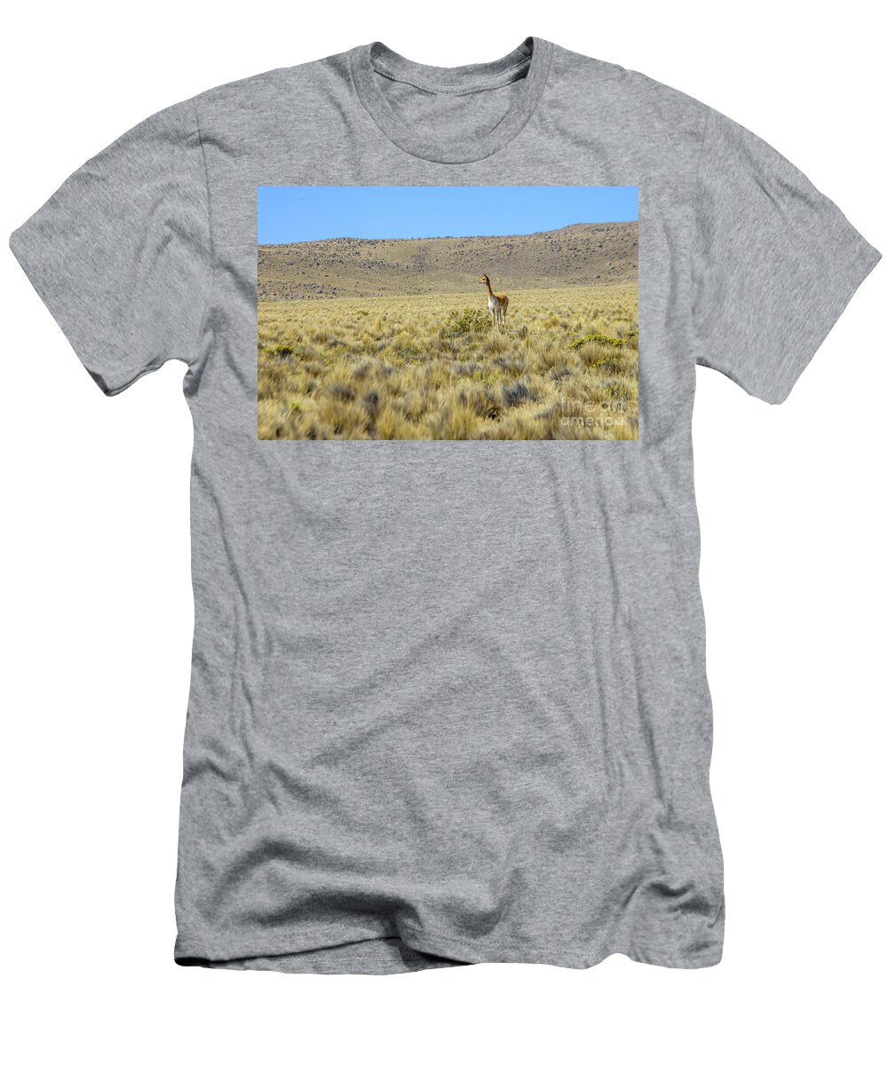 Vicuna Patricia Hofmeester T-Shirt