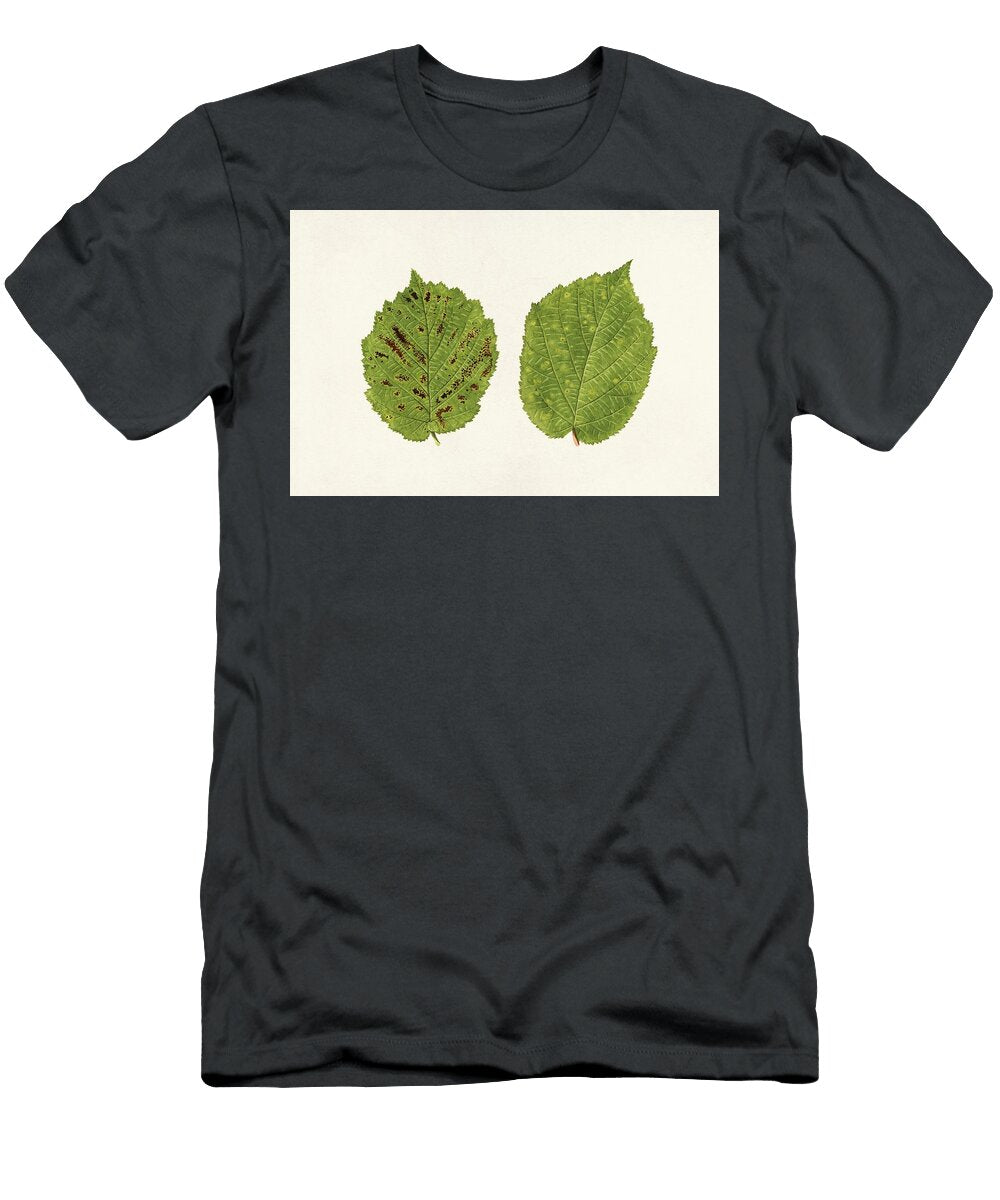 Vintage Avocado Cut in Half Les Classics T-Shirt