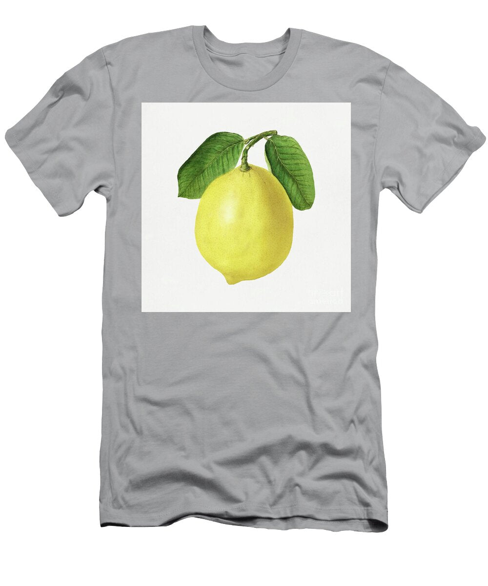 Vintage Lemon Illustration1 Shop Ability T-Shirt
