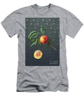 Vintage Peach Botanical Art on Slate Gray Pattern N3036 Holy Rock Design T-Shirt