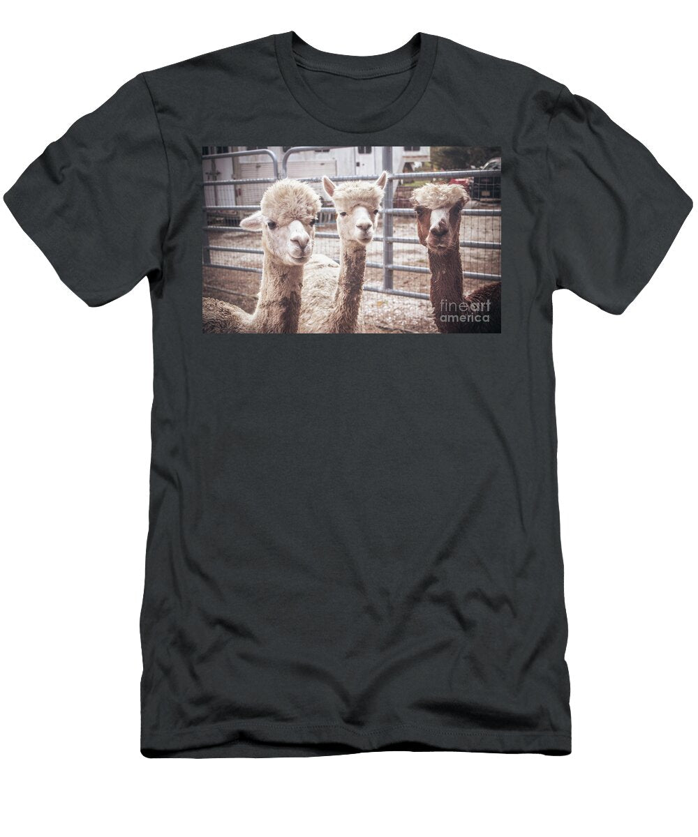 We Three Alpacas Colleen Kammerer T-Shirt