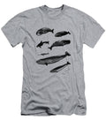 Whale Chart Madame Memento T-Shirt