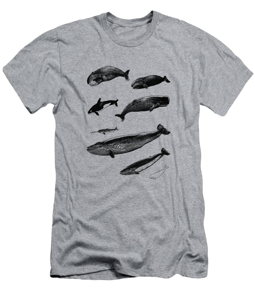 Whale Chart Madame Memento T-Shirt