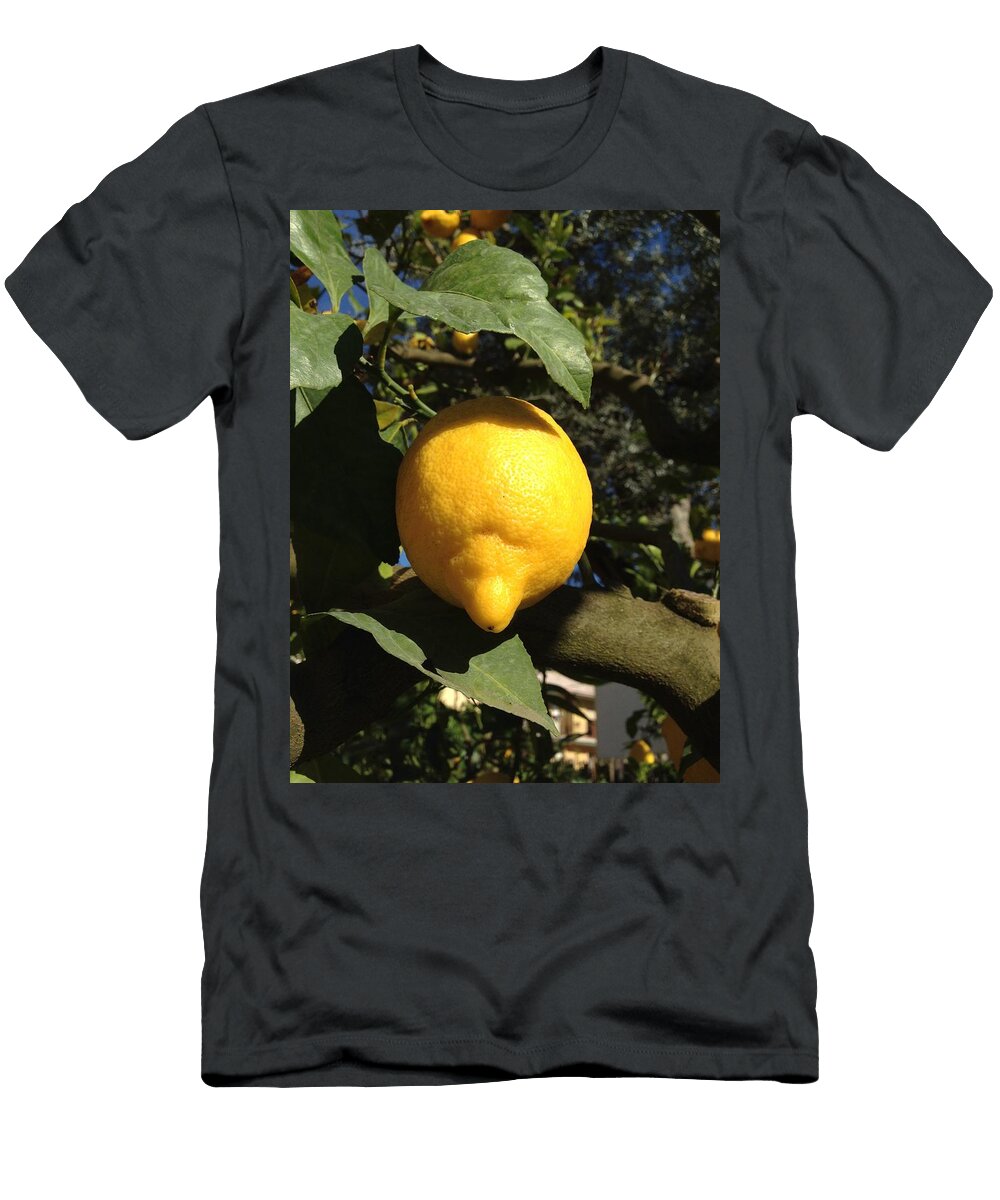 When Life Gives You Lemons Make Lemonade Charlotte Owen T-Shirt