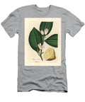White Blossom and Ripe Fruit Segment of the Lemon Tree Citrus Medica James Sowerby T-Shirt