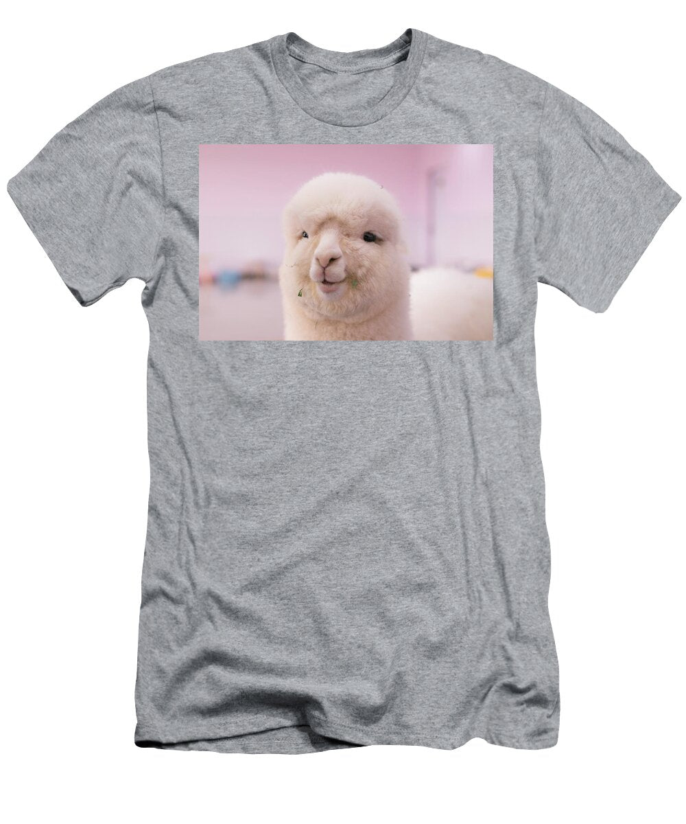 White Sheep in Close Up Photography Julien T-Shirt