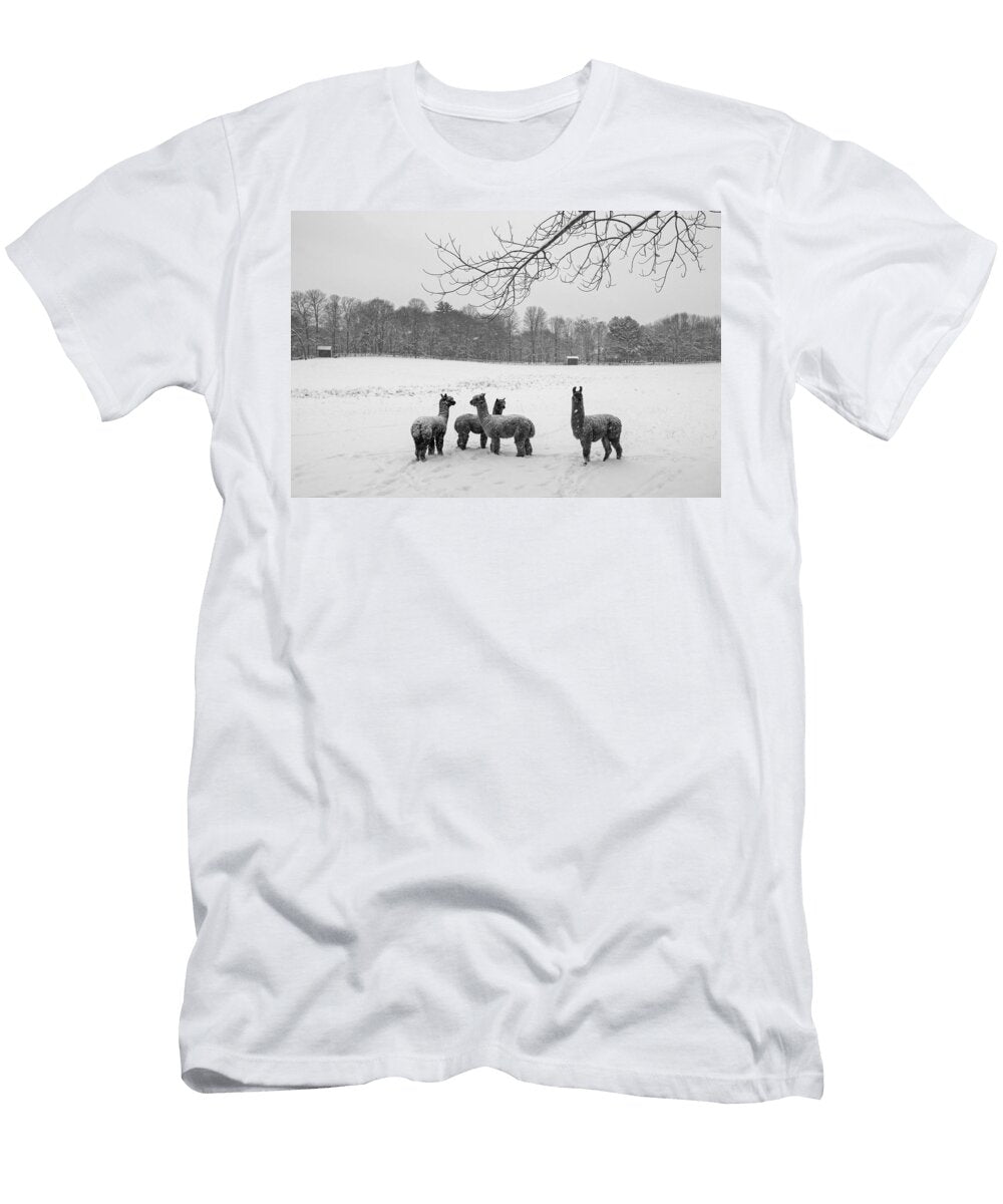 Winter Field Alpacas Metro West Black and White Toby Mcguire T-Shirt