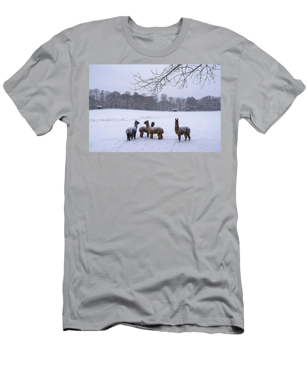 Winter Field Alpacas Metro West Toby Mcguire T-Shirt