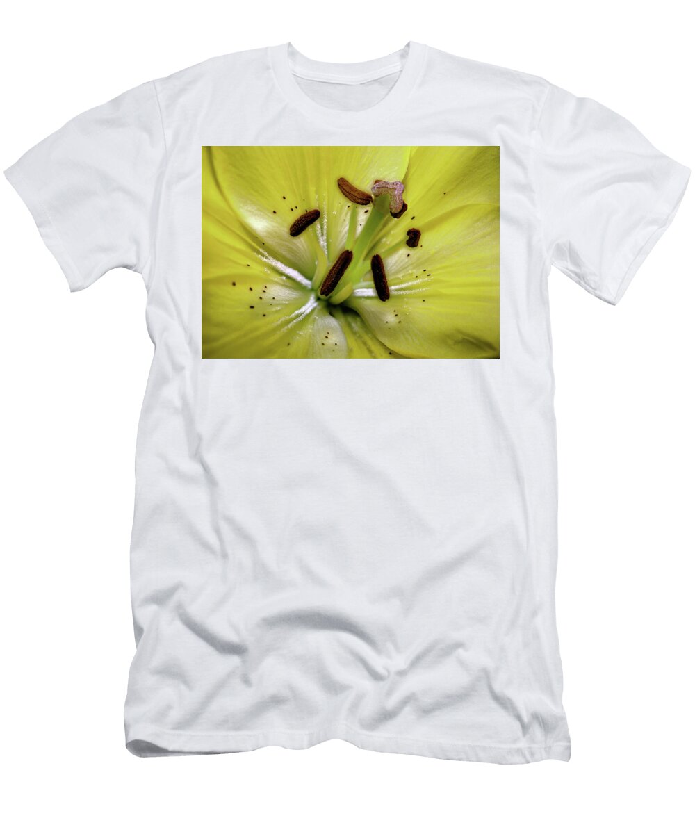 Yellow Asiatic Lily Anthony Ellis T-Shirt