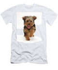 Yorkipoo Dog Yorkshire Terrier Cross Poodle Oscar Age 6 Mark Taylor Natureplcom T-Shirt