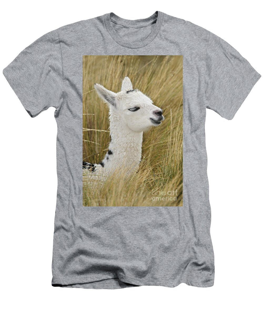 Young Alpaca John Shaw T-Shirt